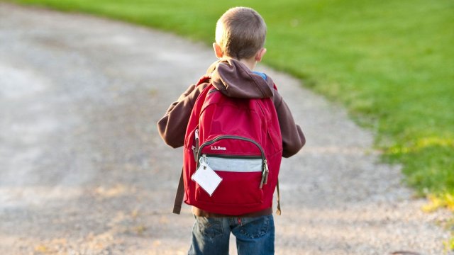 Mochilas Escolares - Inimigas da boa postura?