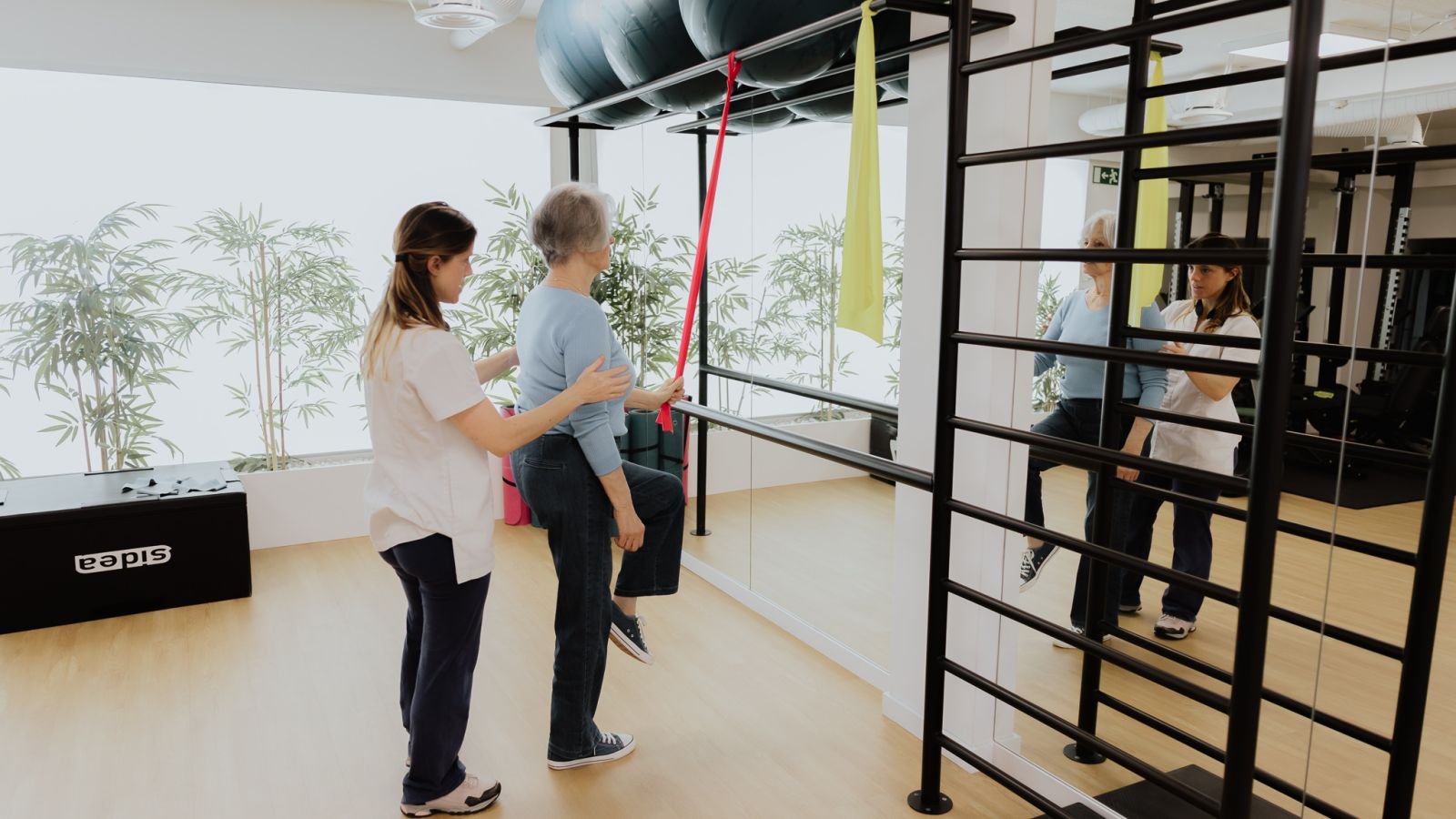 Rastreios funcionais gratuitos Physioclem Oeiras