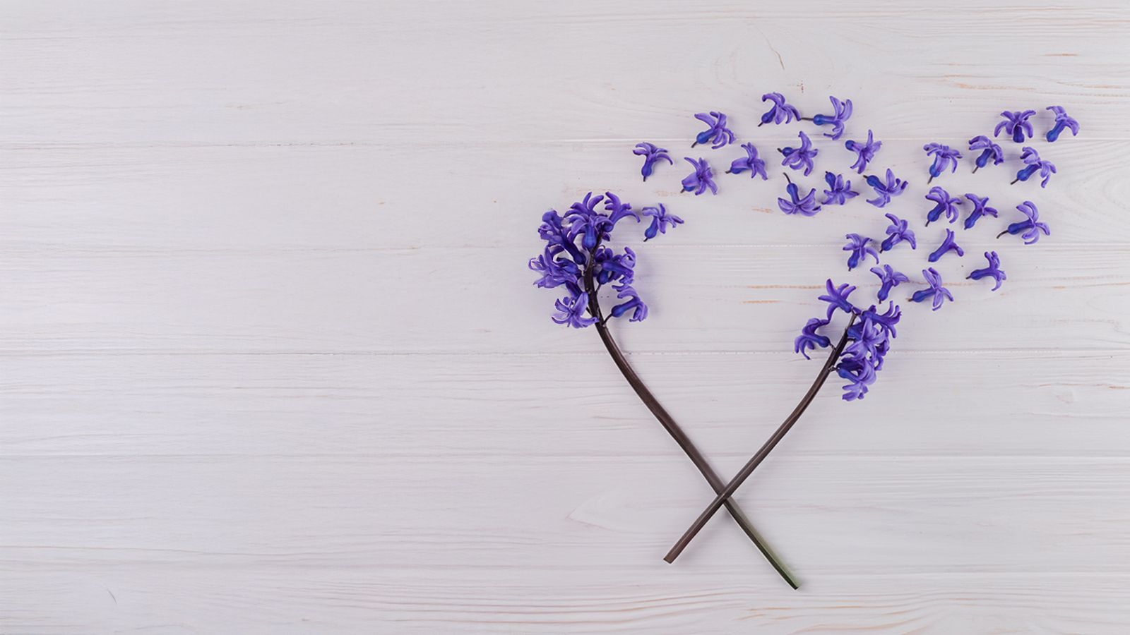 Conhecer para cuidar: programa completo das 1ª Jornadas de Oncologia Physioclem